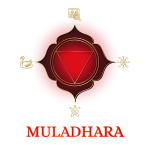 Muladhara